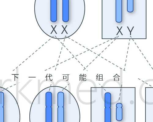 中国供卵机构,山西试管婴儿什么时候纳入医保附2026三代试管**最新收费
