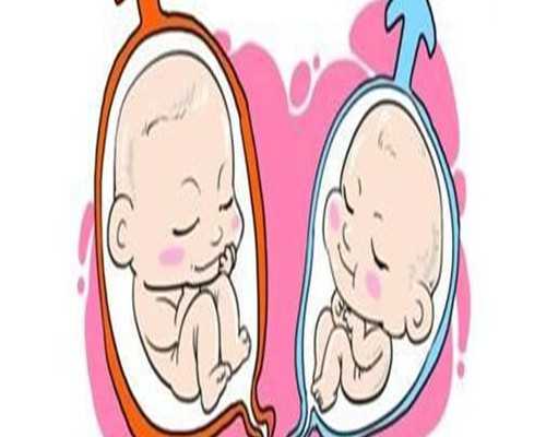 1岁宝宝喜欢翻**怎么办 探索敏感期让它来帮忙 供卵试管中介