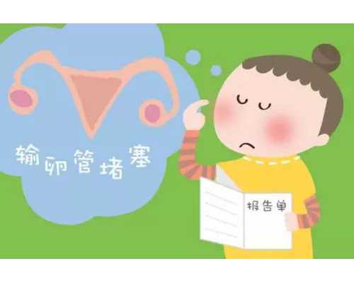 国内去哪找代生,木瓜的籽能吃吗（木瓜的籽可以吃吗）