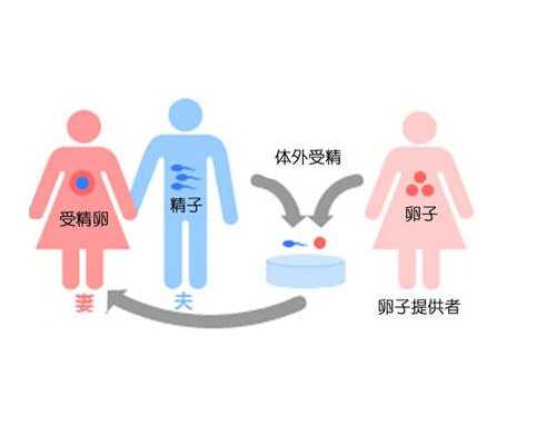 国内专业的供卵试管,没有结婚证在私立医院也不能做试管吗