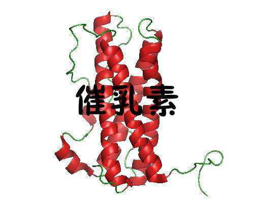 国内供卵最好的医院是哪家,宫颈肿瘤能做第三代试管婴儿吗？泰安做试管成功率高不