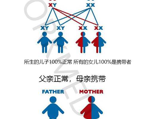 国内找人代怀价格,三代试管婴儿i 一次需要多少钱？