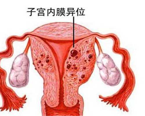 中国供卵医院排行,盘点试管移植十五天能吃的食物，山药、豆腐均在其中
